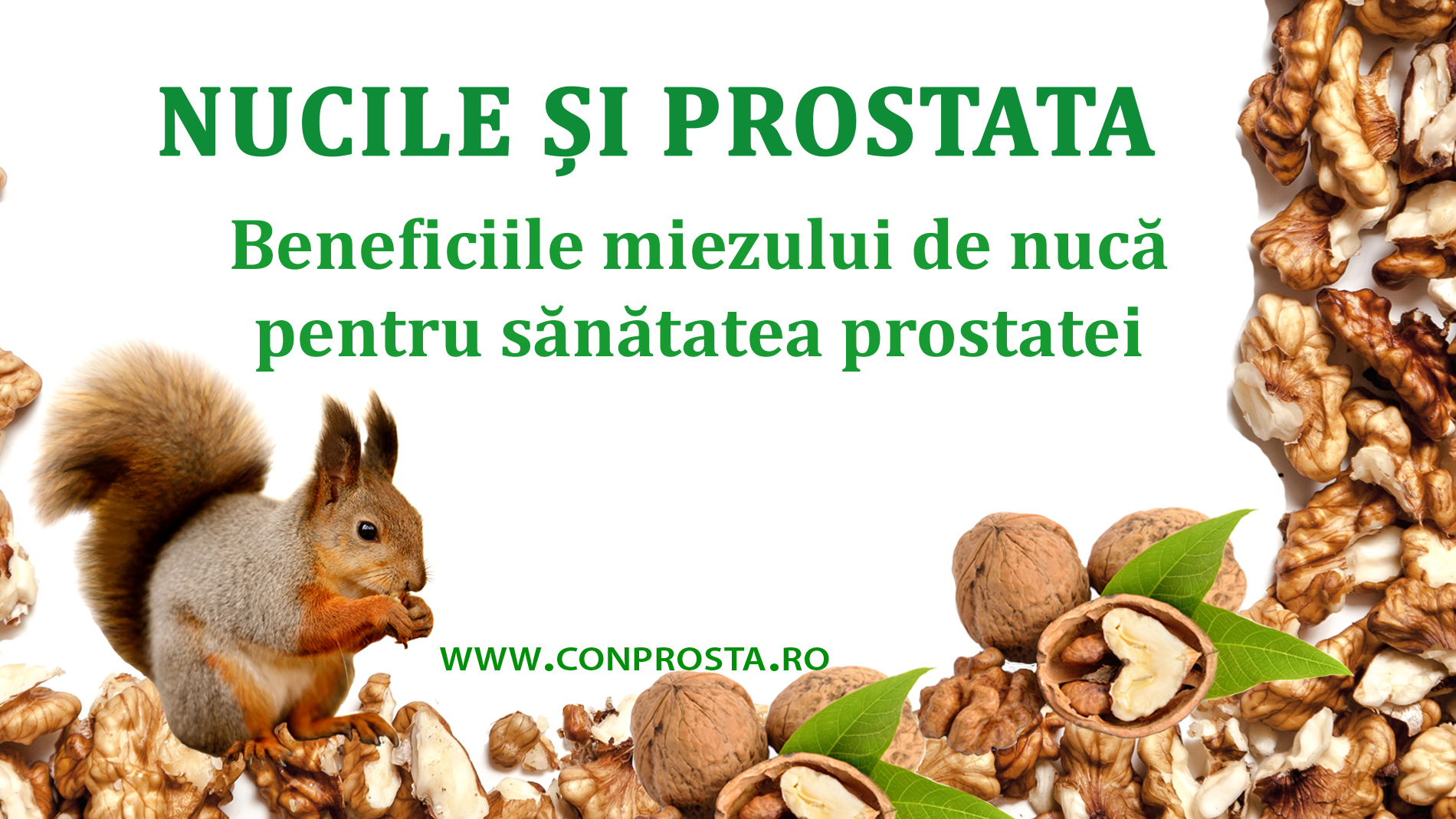 Nucile și Prostata. Beneficiile miezului de nucă pentru sănătatea prostatei